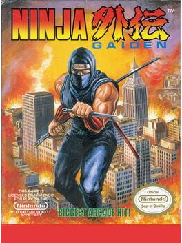 Ninja Gaiden Cover Art
